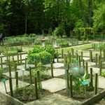 Jardin de l'Abbaye de Vauclair