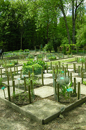 Jardin de l'Abbaye de Vauclair